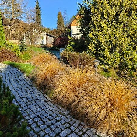 Beskid Ski Villa ヴィスワ エクステリア 写真