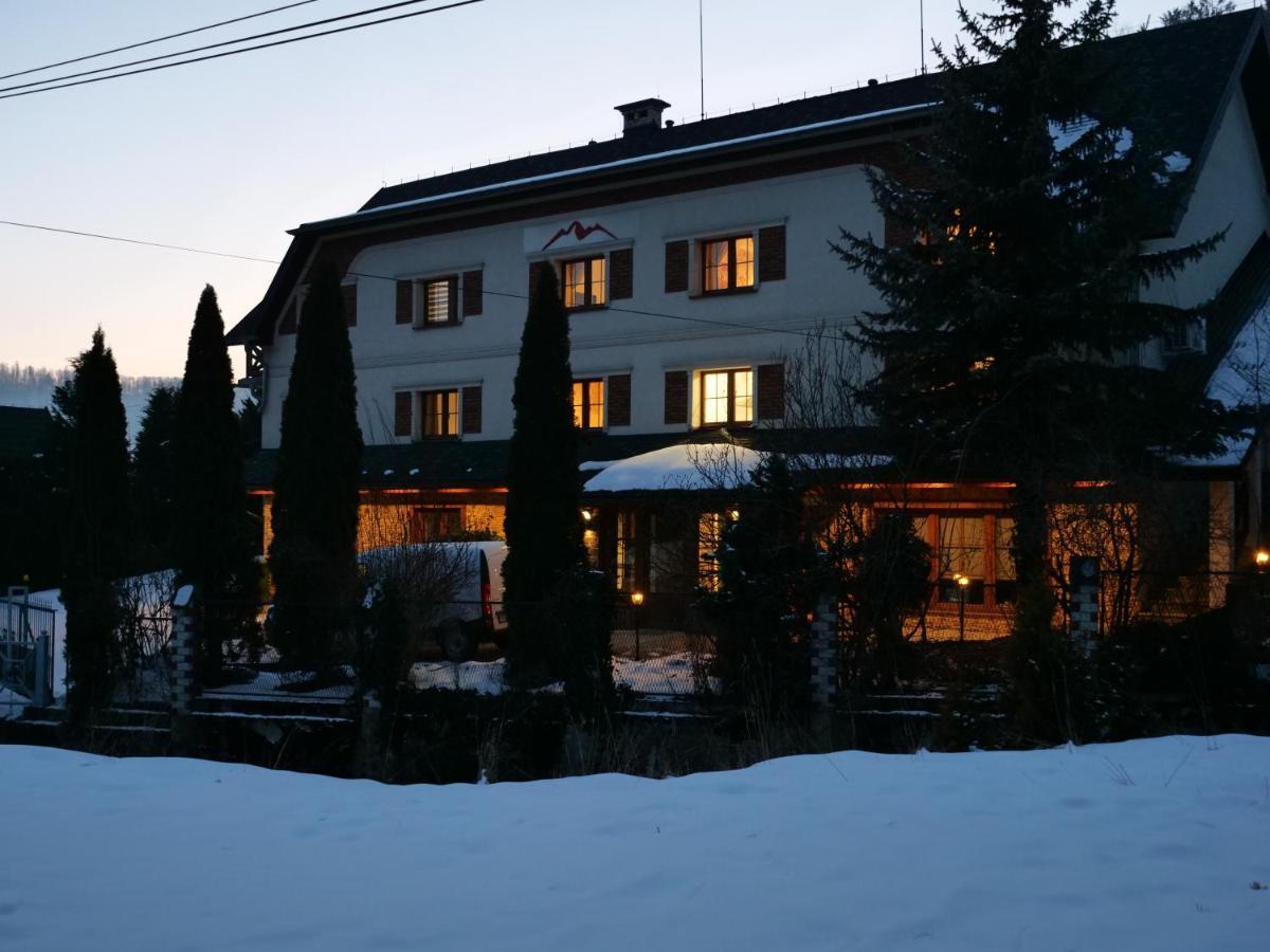 Beskid Ski Villa ヴィスワ エクステリア 写真