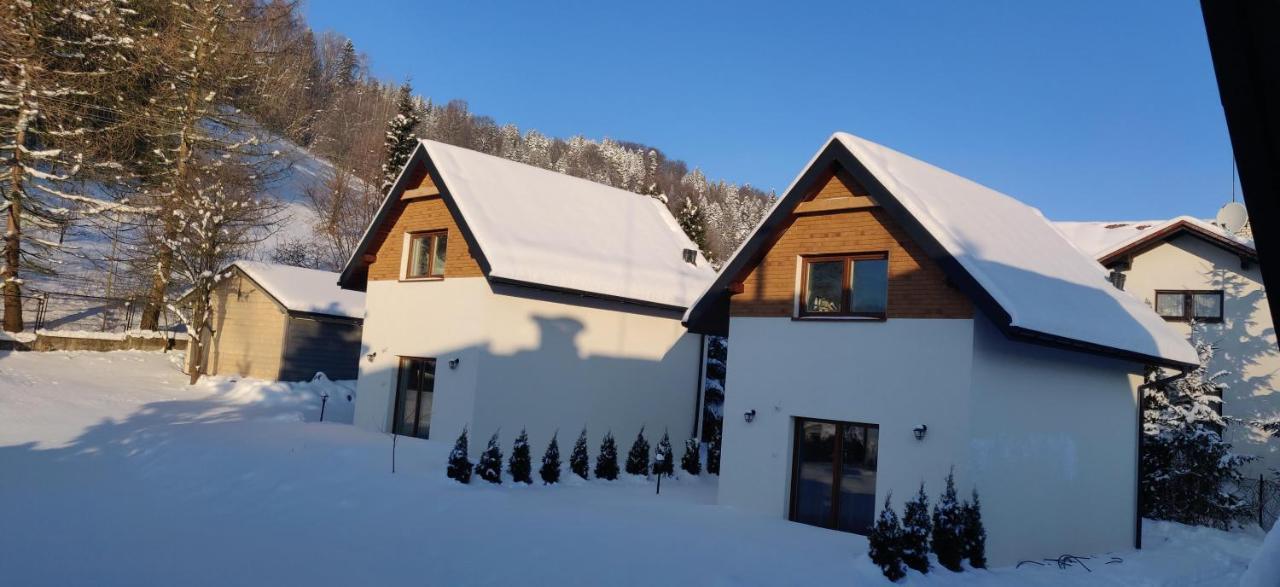 Beskid Ski Villa ヴィスワ エクステリア 写真