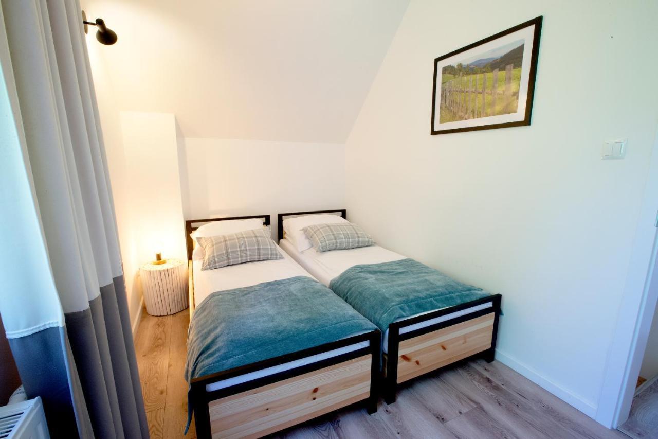 Beskid Ski Villa ヴィスワ エクステリア 写真
