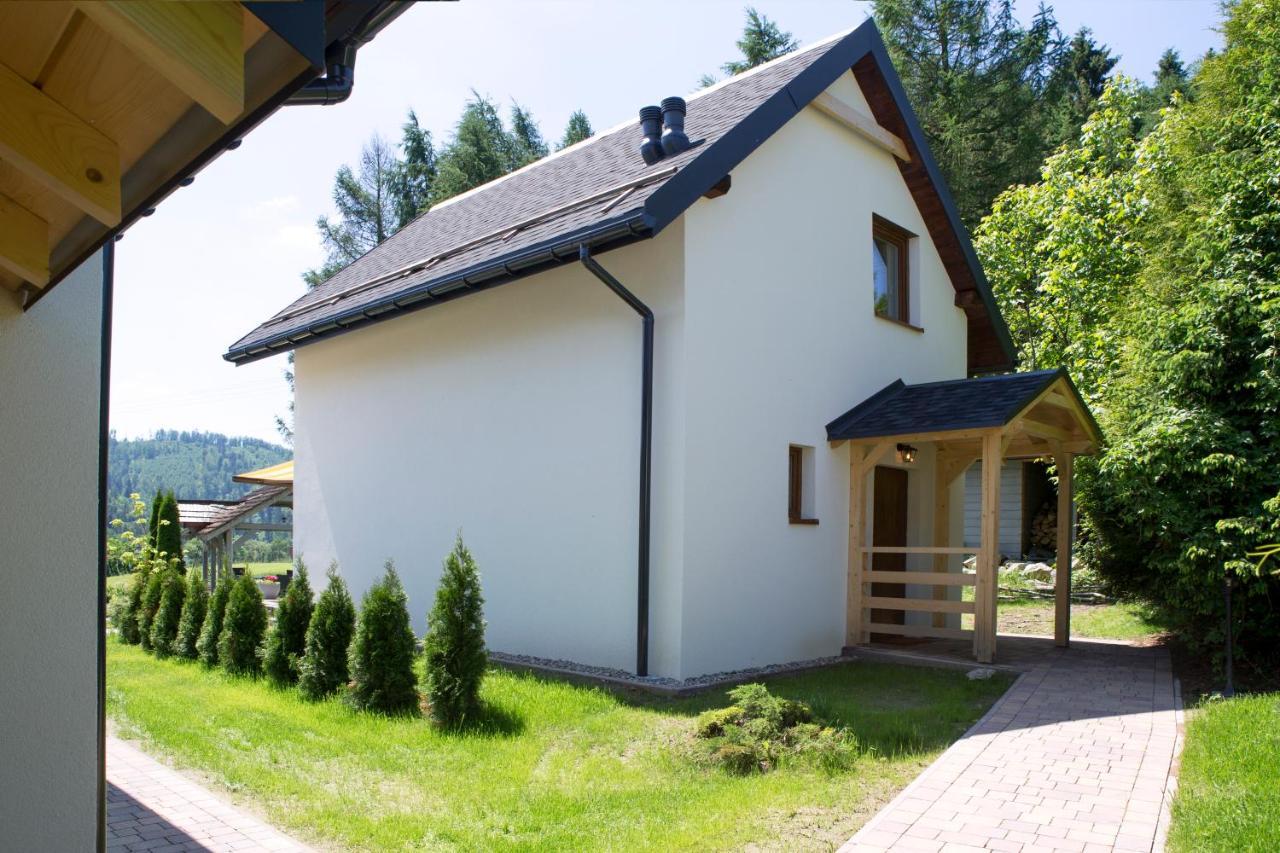 Beskid Ski Villa ヴィスワ エクステリア 写真