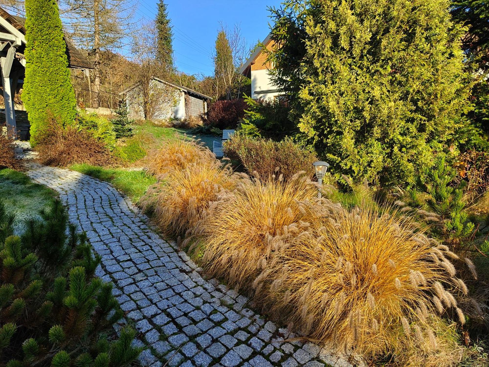 Beskid Ski Villa ヴィスワ エクステリア 写真