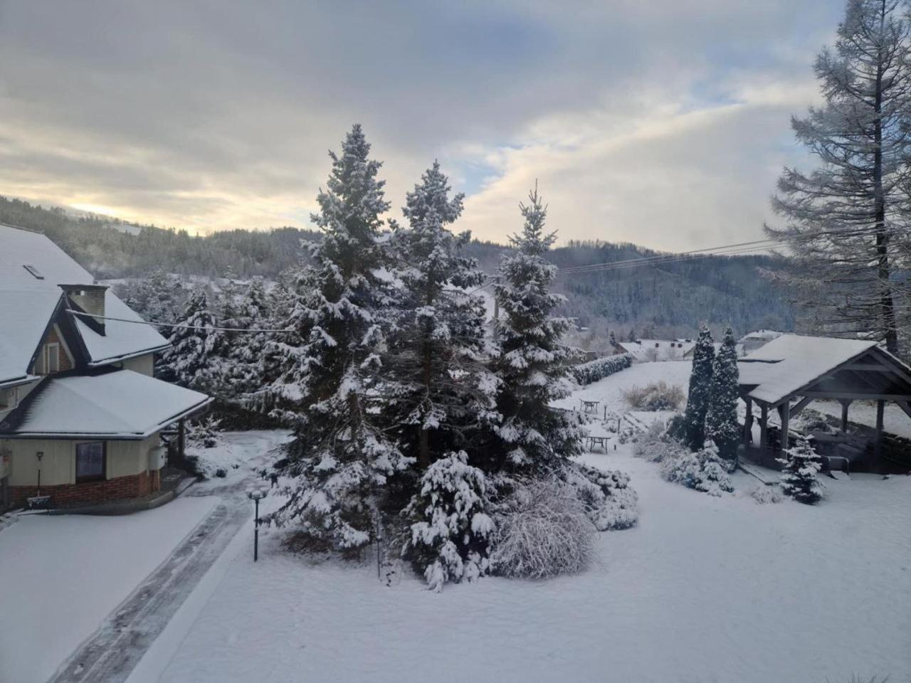 Beskid Ski Villa ヴィスワ エクステリア 写真