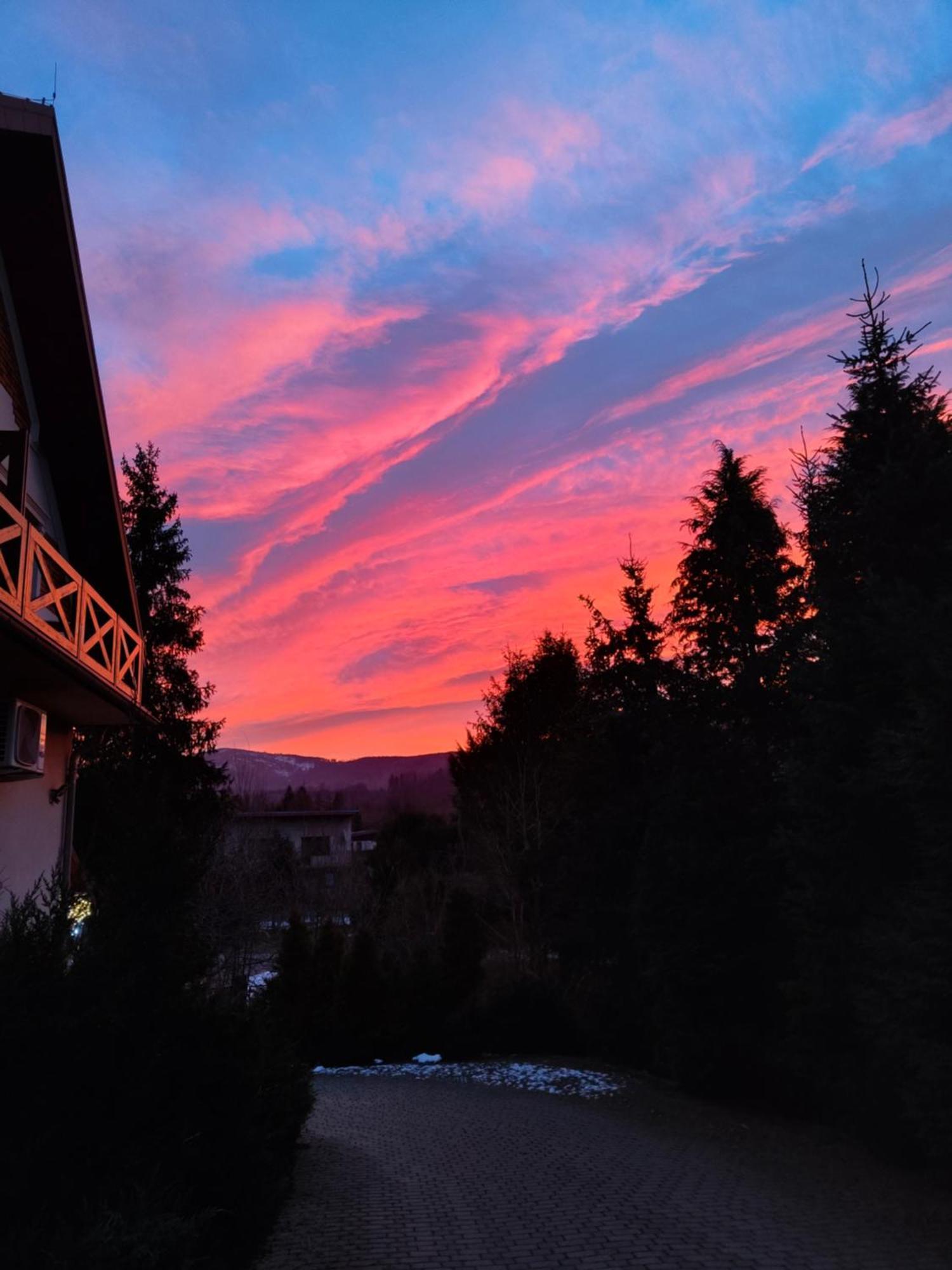 Beskid Ski Villa ヴィスワ エクステリア 写真