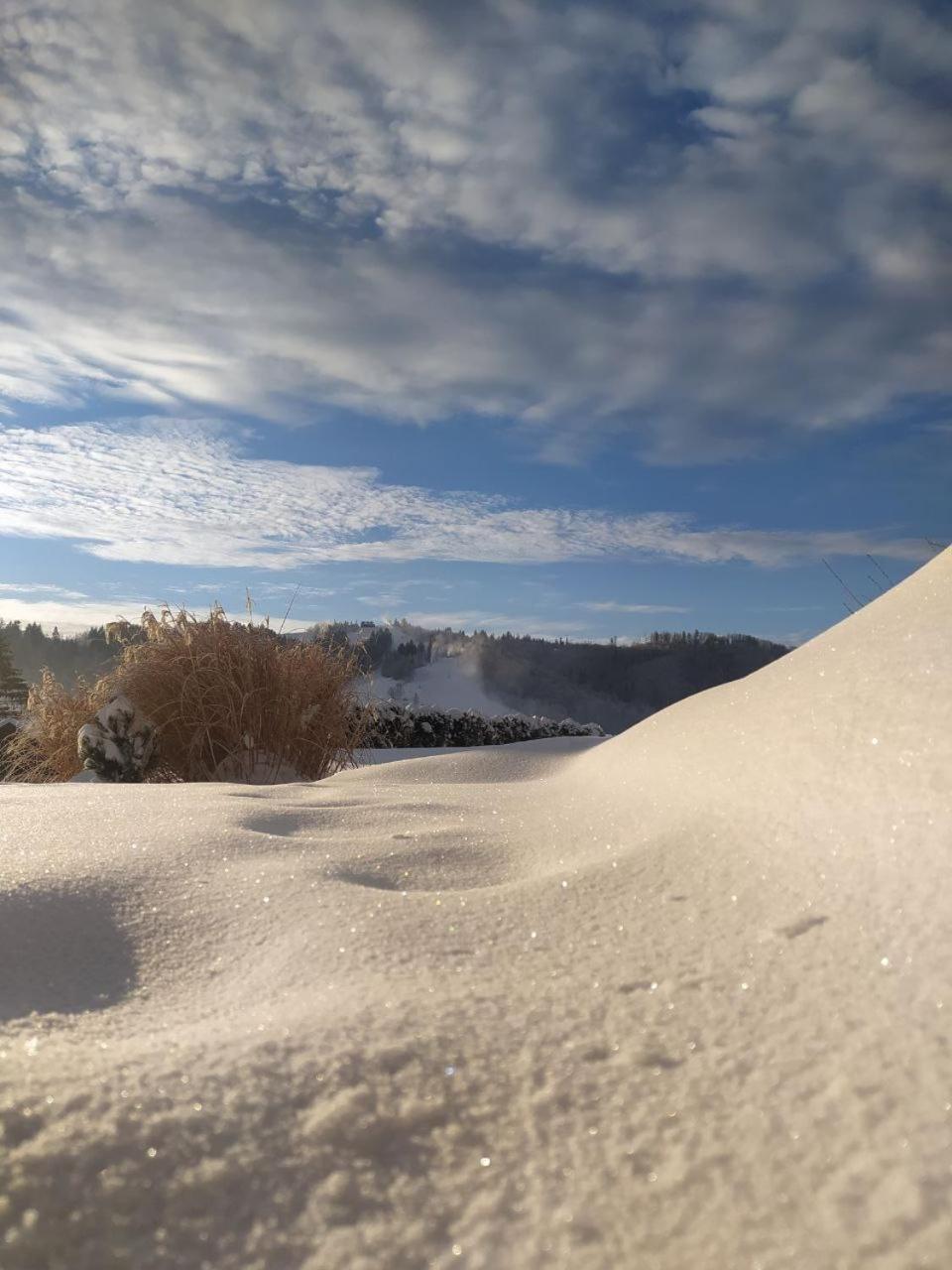 Beskid Ski Villa ヴィスワ エクステリア 写真